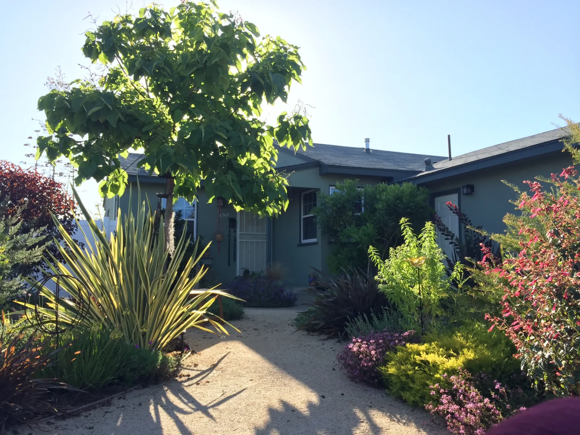 Pollinator Garden Design: How San Diego Landscaping Can Support Bees and Butterflies